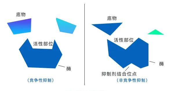 酶的反饋抑製